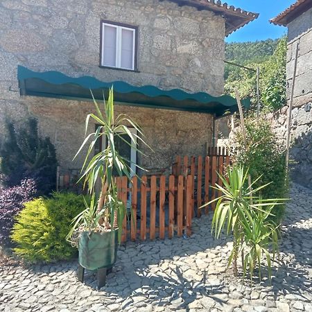 Vila Quinta Dos Campos - Chale Braga Exteriér fotografie
