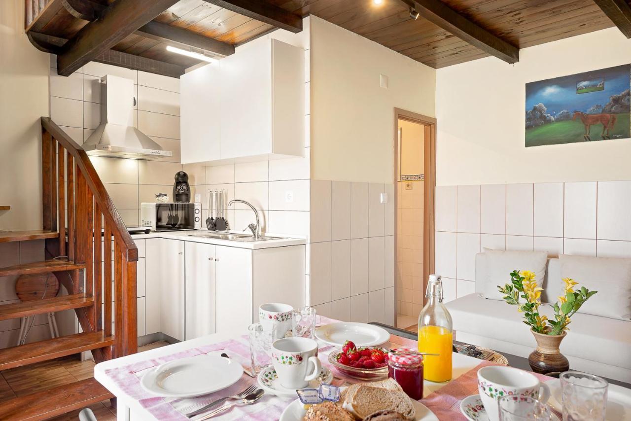Vila Quinta Dos Campos - Chale Braga Exteriér fotografie