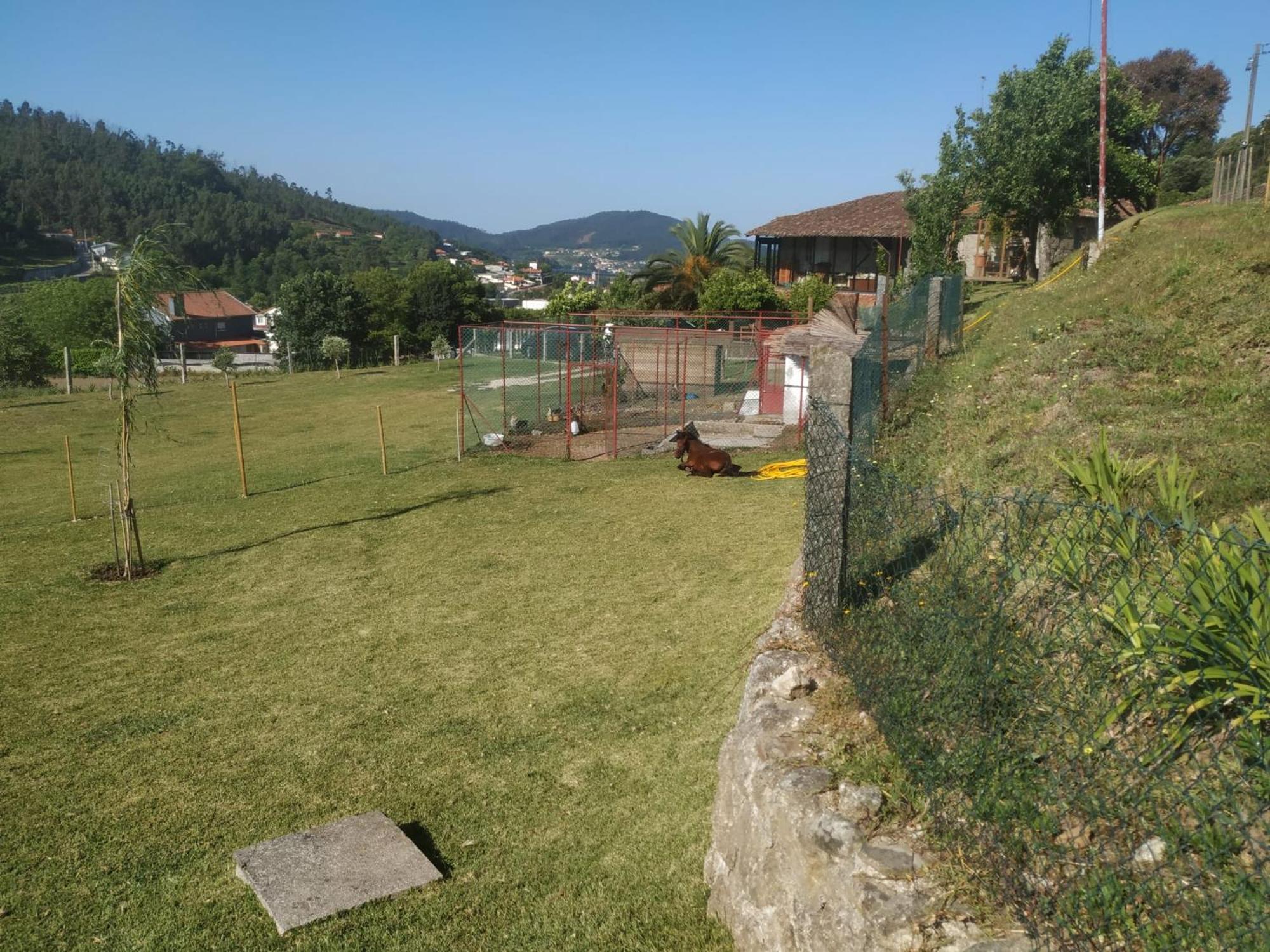 Vila Quinta Dos Campos - Chale Braga Exteriér fotografie