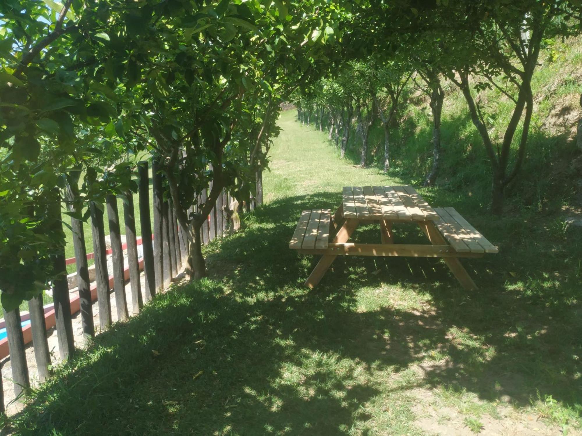 Vila Quinta Dos Campos - Chale Braga Exteriér fotografie